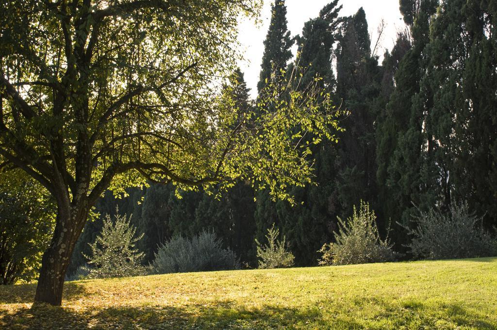 Villa Montaperti Monteaperti  Chambre photo